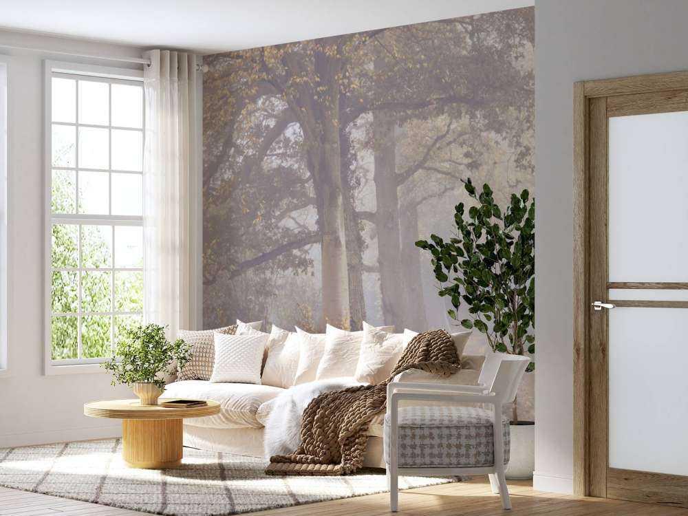 Zamglona droga z drzewami