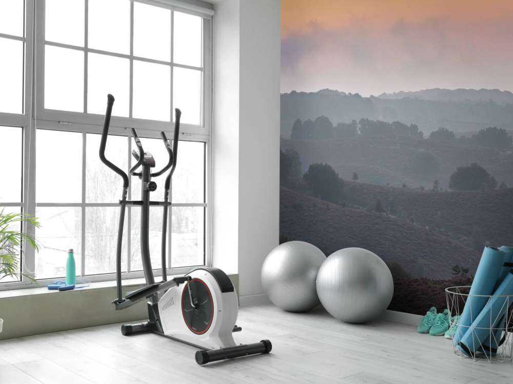 Mglisty wschód słońca na wrzosowisku