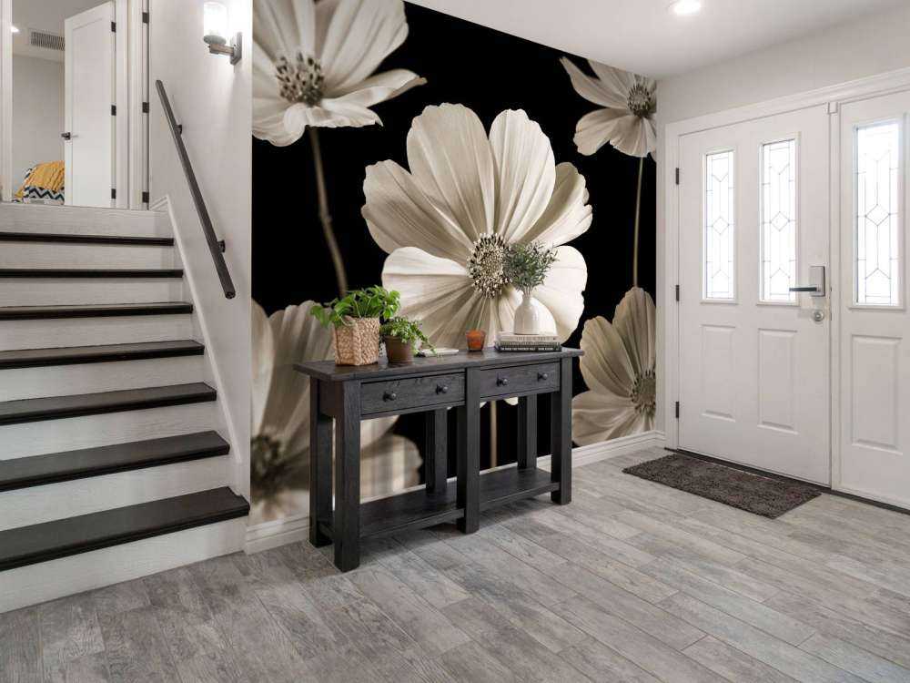 Kilka kwiatów Cosmos