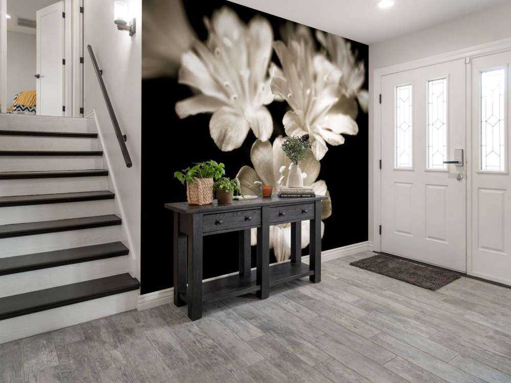 Zbliżenie na kwiat Lewisii