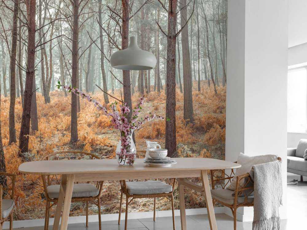 Las w okresie jesiennym