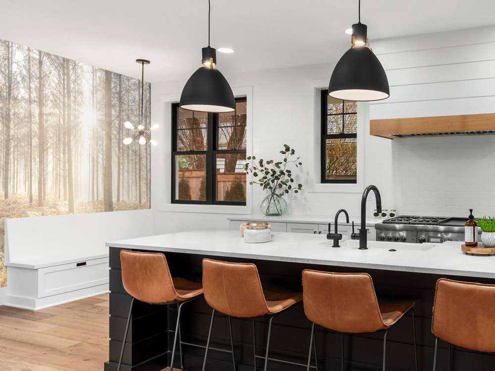 Promienie słońca w zimnym lesie