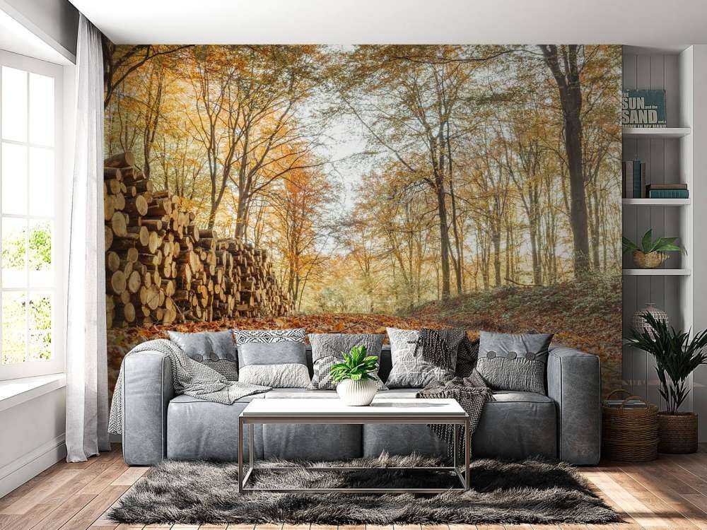 Pnie drzew w jesiennym lesie