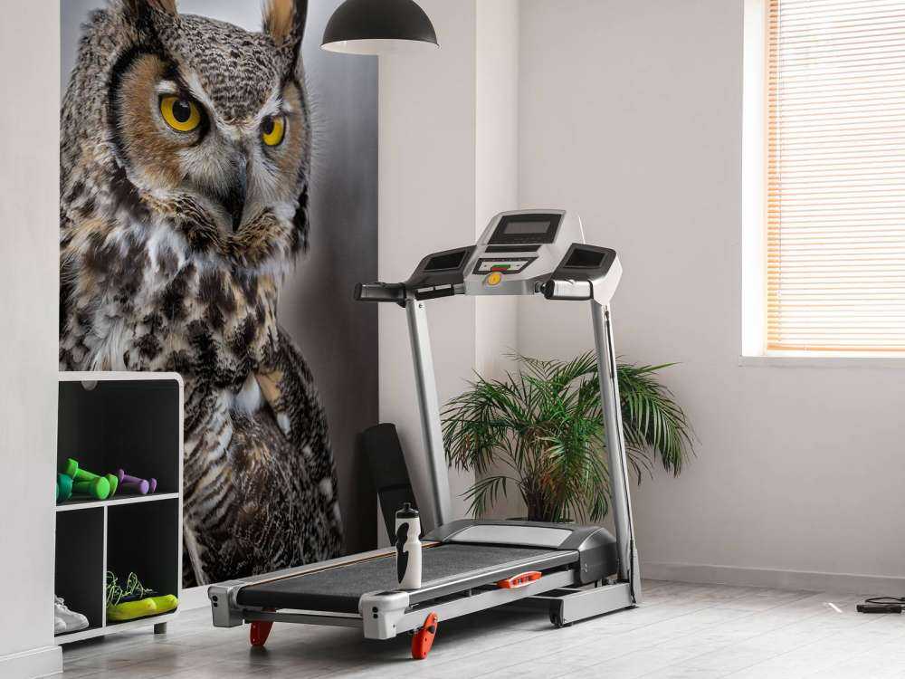 Sowa z brązowymi piórami