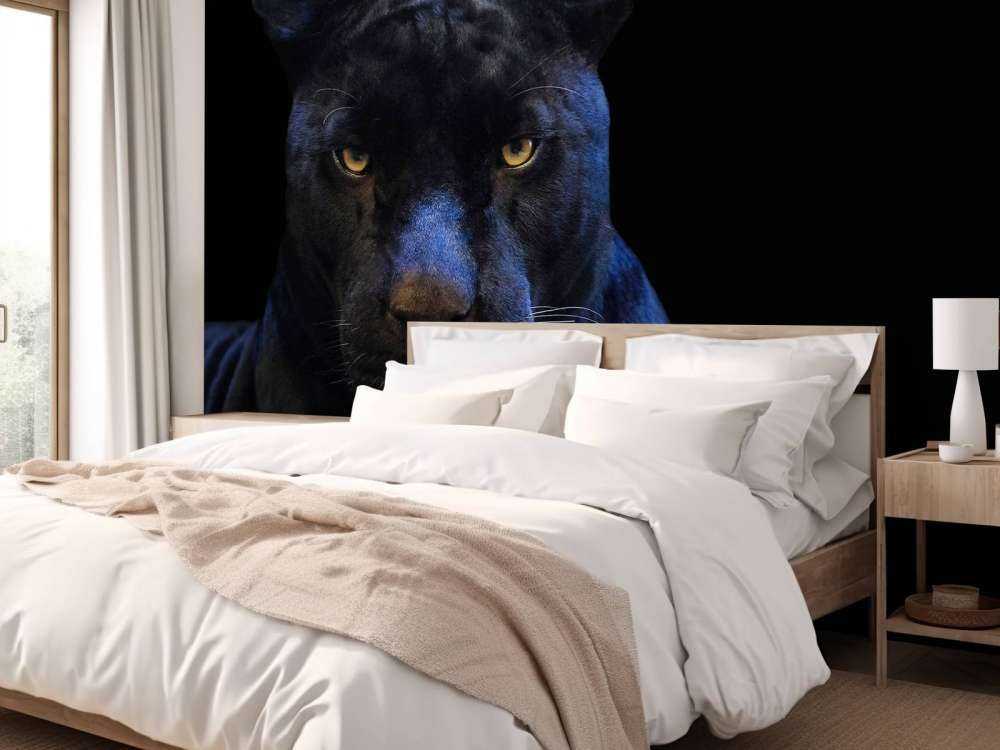 Zbliżenie na panterę