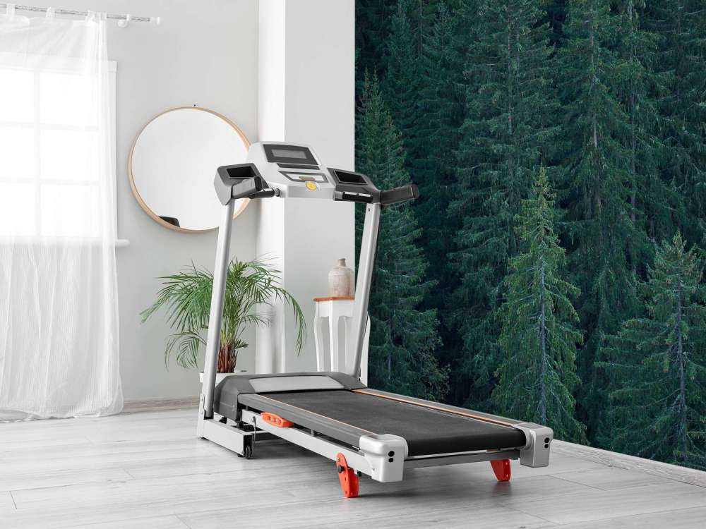 Drzewa iglaste z szyszkami sosnowymi