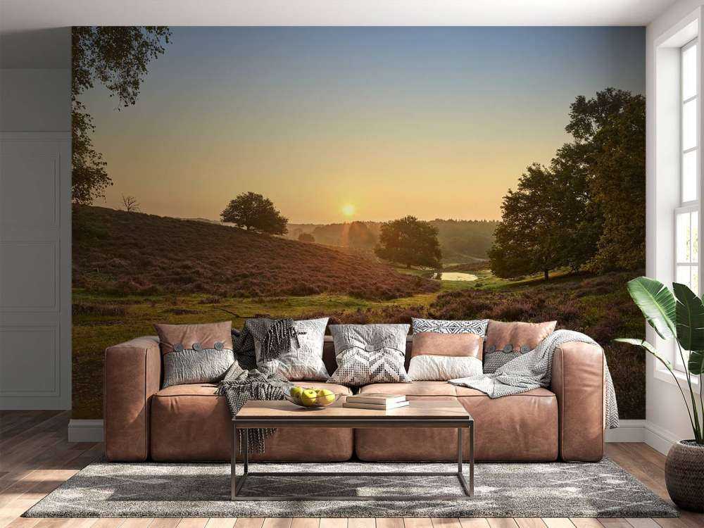 Kałuża na wrzosowisku