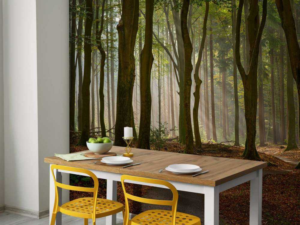 Promienie słońca na ścieżce przez las