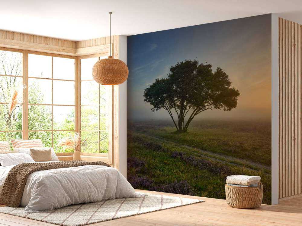 Wschód słońca na wrzosowisku