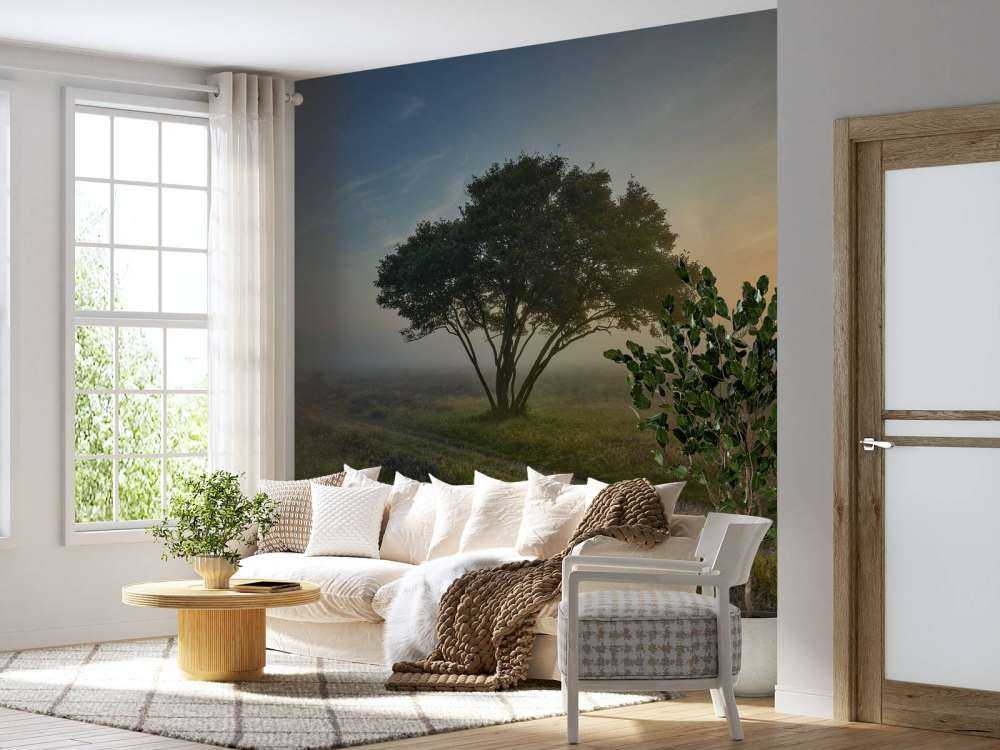 Wschód słońca na wrzosowisku