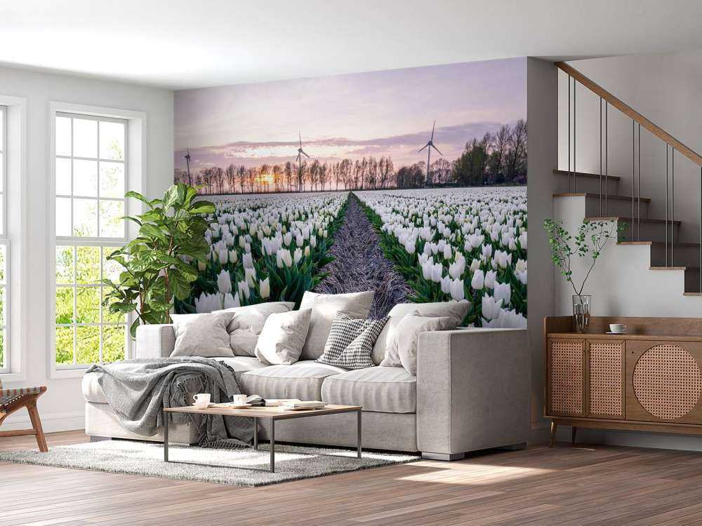 Pole tulipanów białych