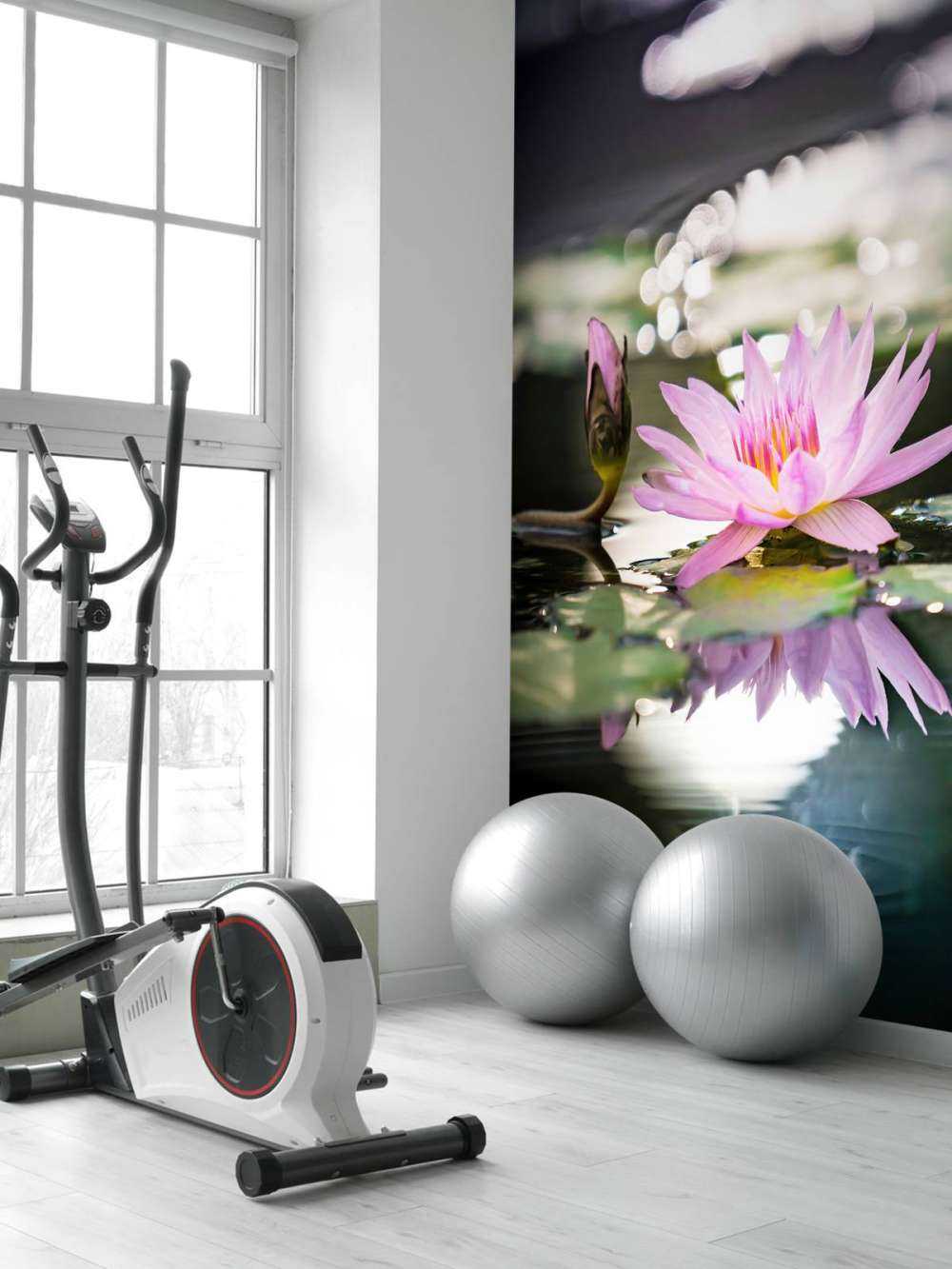 Kwiat lotosu różowy