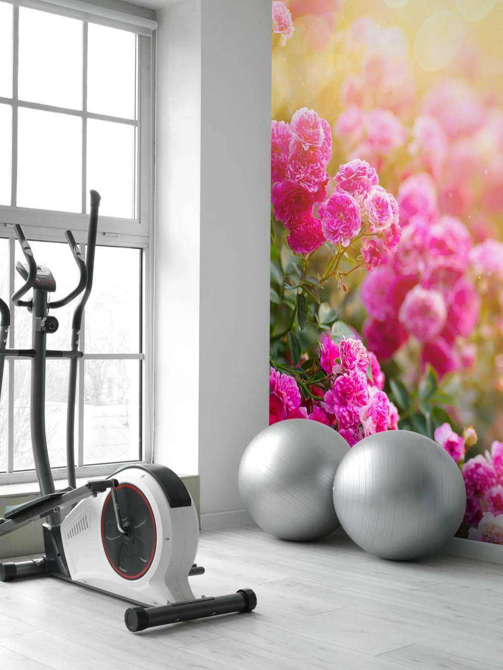 Różowe krzewy róży