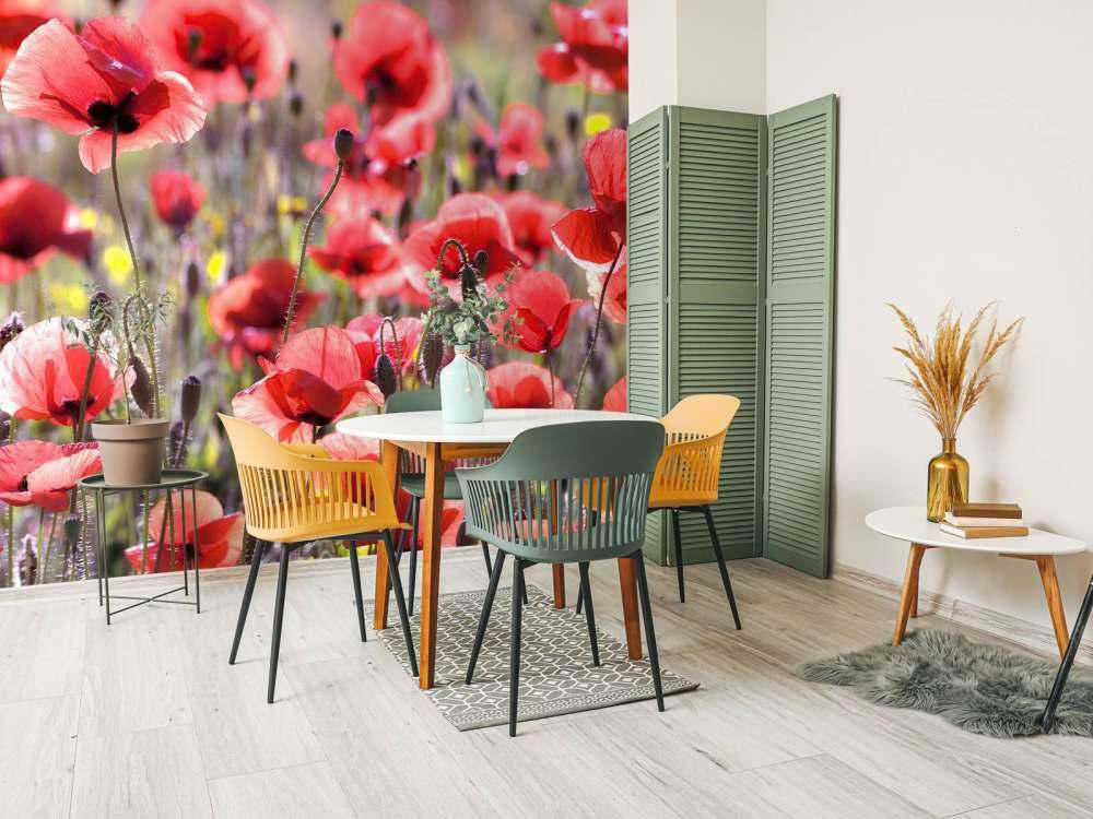 Maki o klasycznym wyglądzie