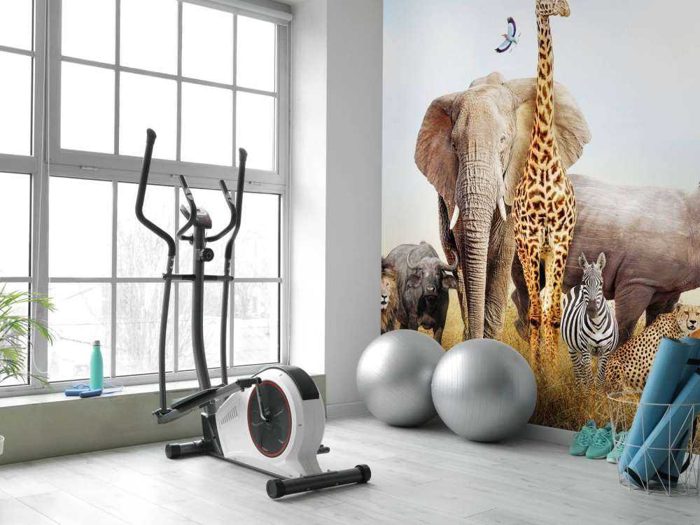 Zwierzę ta na sawannie