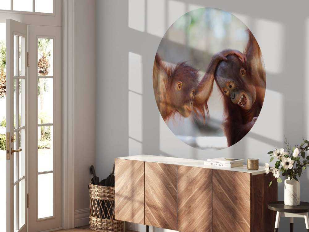 Dziecięce orangutany