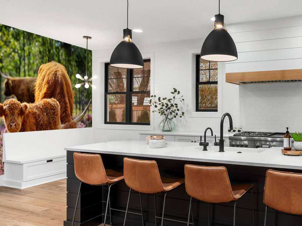 Rodzina szkockich wyżynnów