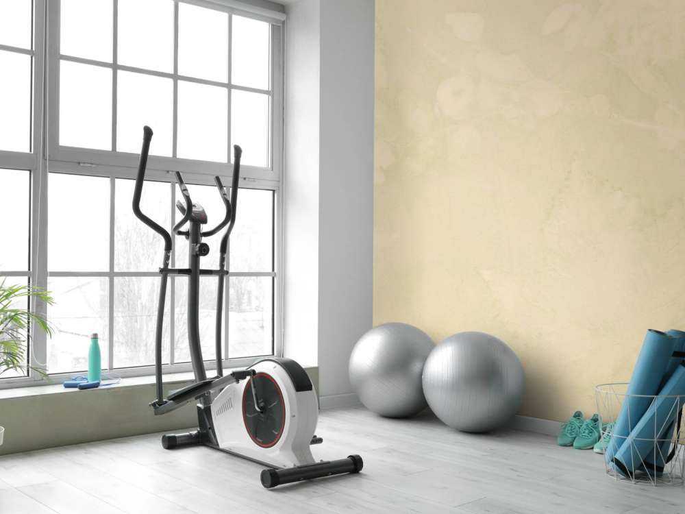 Snieżna jagoda i dzika jeżyna - jade