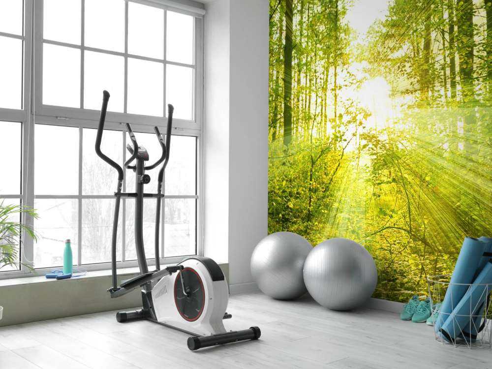 Słońce w zielonym lesie