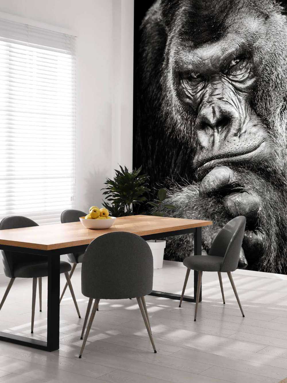 Zbliżone zdjęcie goryla