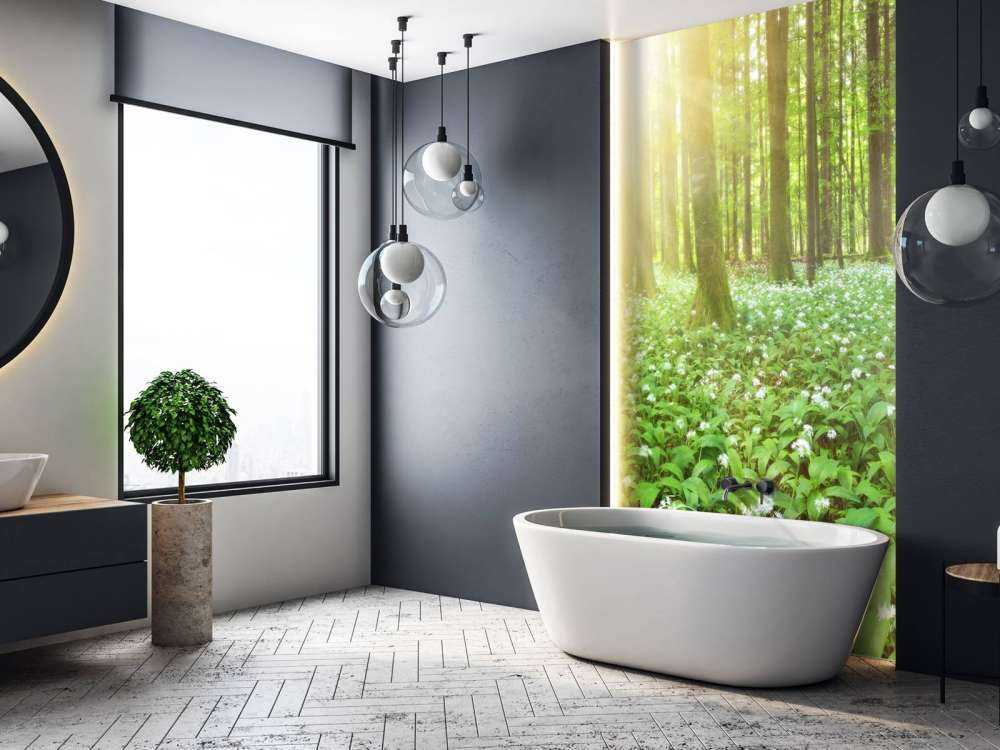 Dziki las o wschodzie słońca