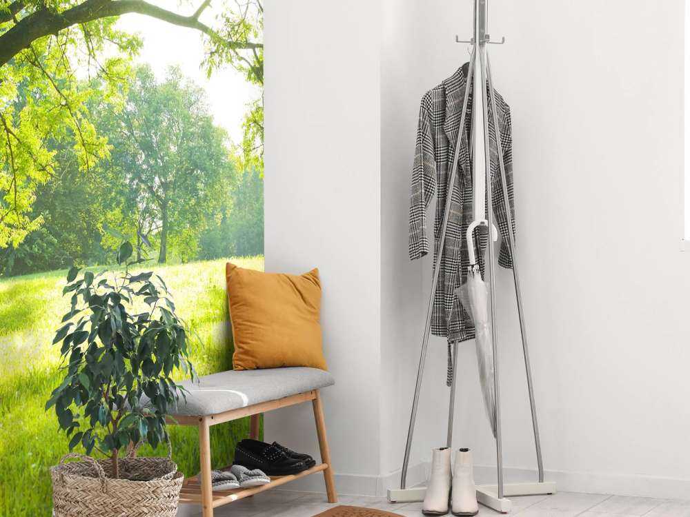 Piękne drzewo z zieloną trawą