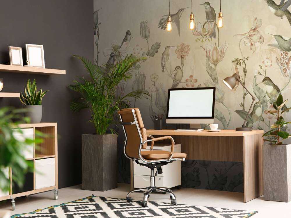 Symfonia Kolibrów Wiosennych - Pustynny Szept