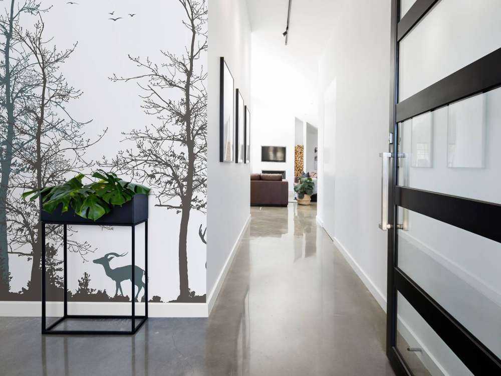 Kontur zimy Leśna cisza