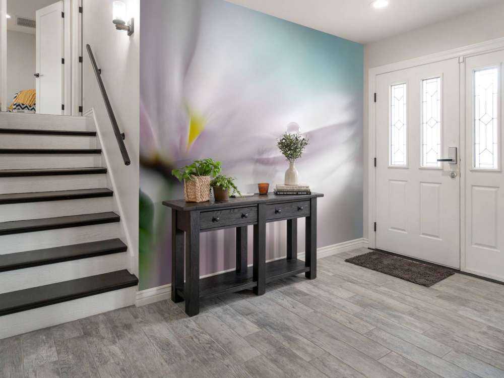 Where dreams come true