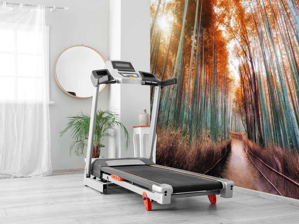 Jesienny las bambusowy