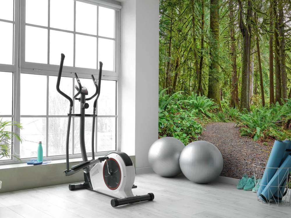 Ścieżka z kamieniem przez las