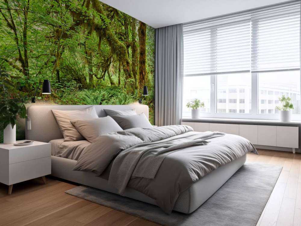 Paprocie w starym lesie