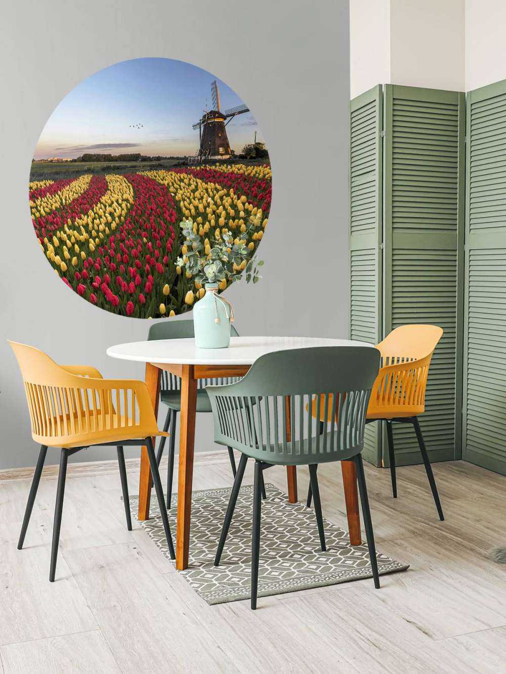 Holenderskie pole tulipanów