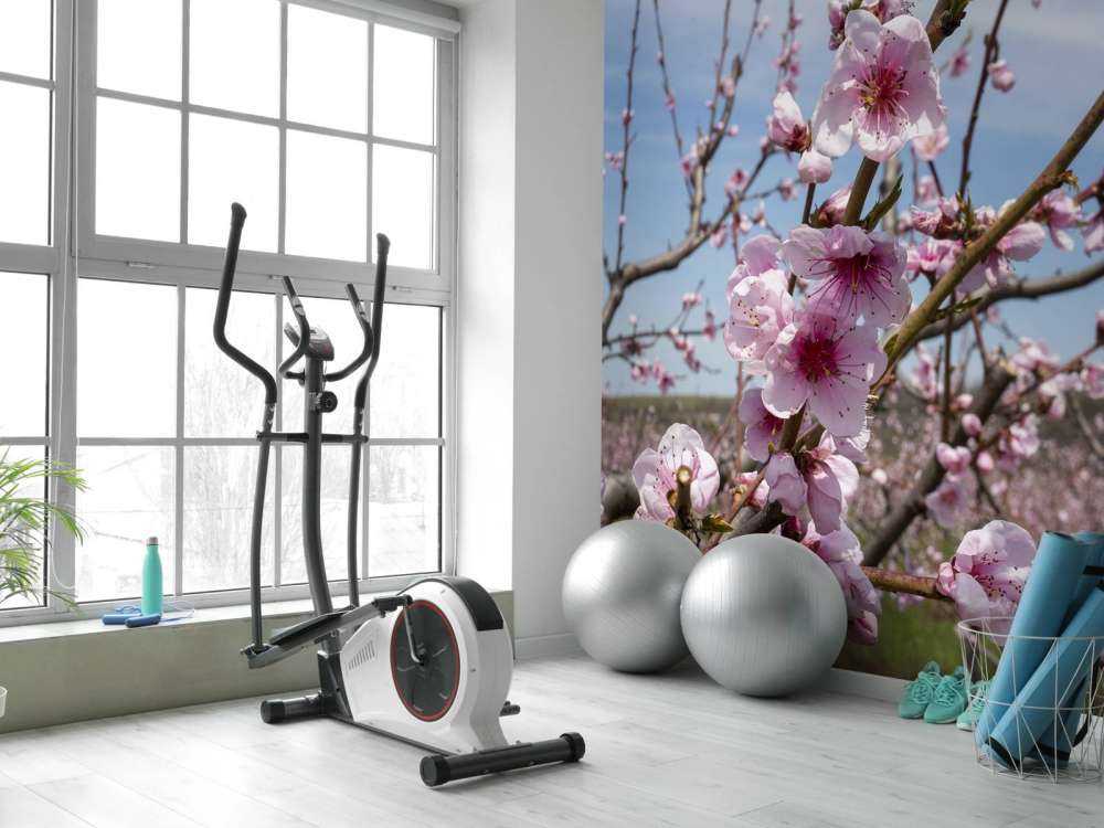 Kwiaty jasnoróżowe