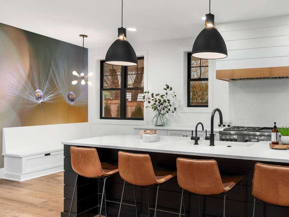 Nasiona mniszka lekarskiego