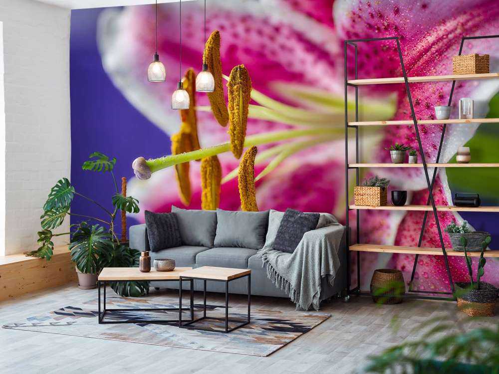 Zbliżenie na różowy kwiat