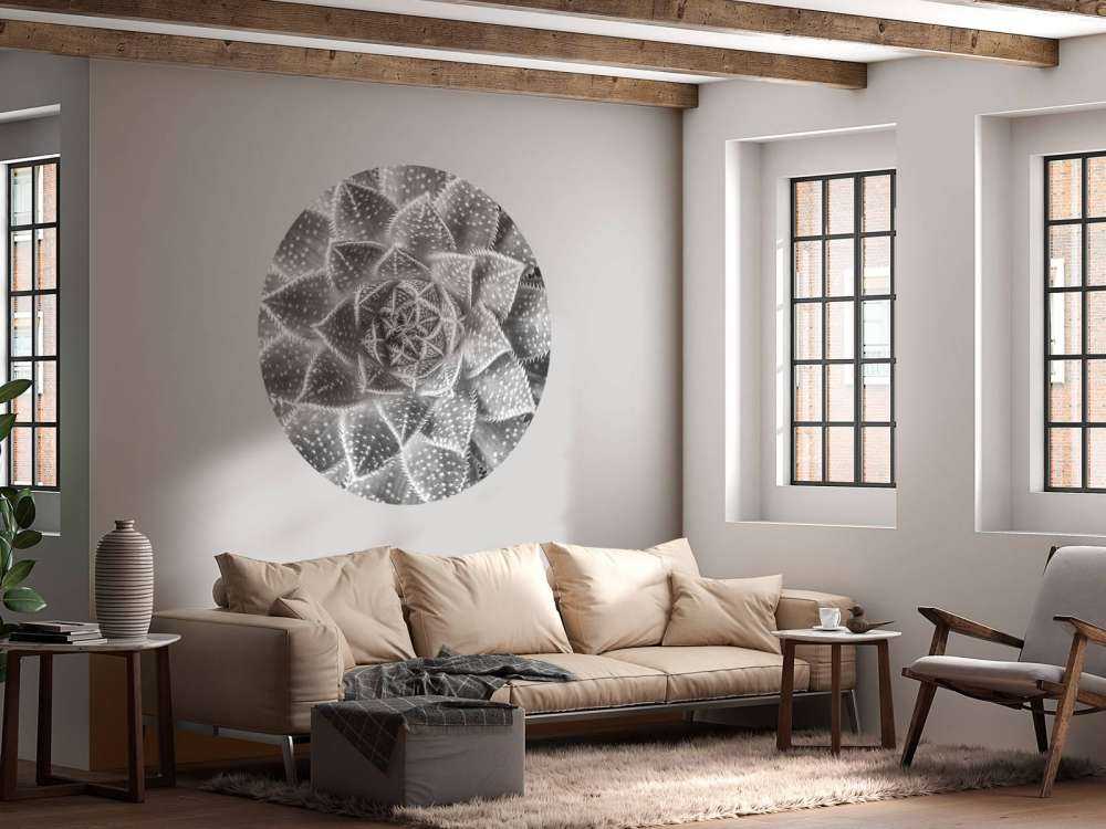 Sukulent w czerni i bieli