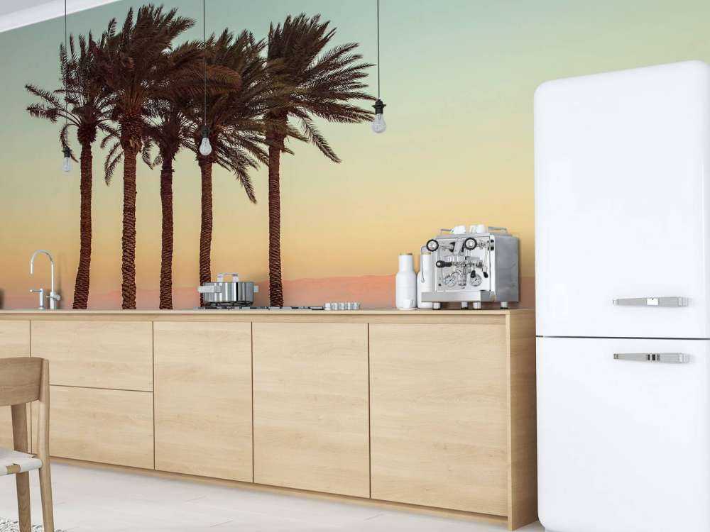 Palmy o zachodzie słońca