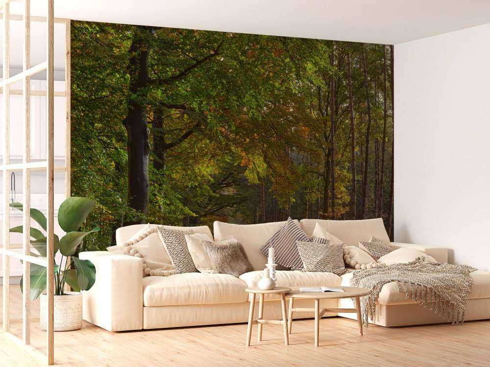 Ścieżka z liśćmi przez las