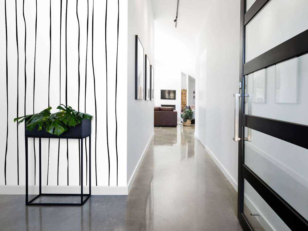 Linie abstrakcyjne w kolorach czarnym i białym