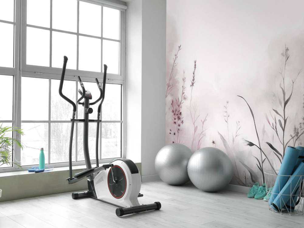 Poranna Cisza Stłumiony Bez