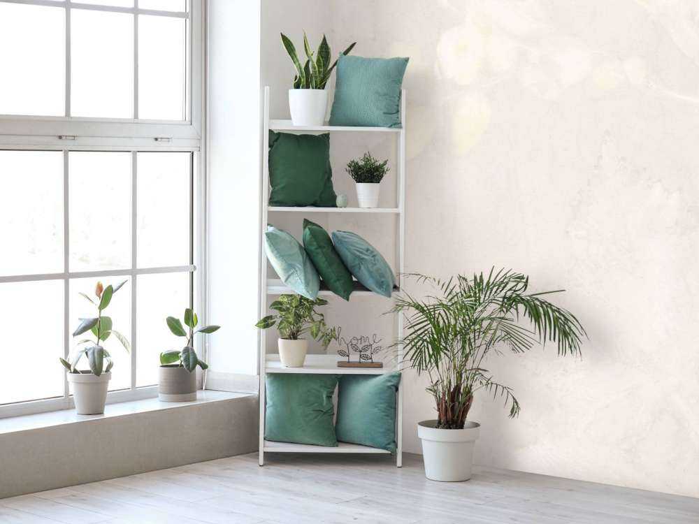 Snieżna jagoda i dzika jeżyna - gra cieni