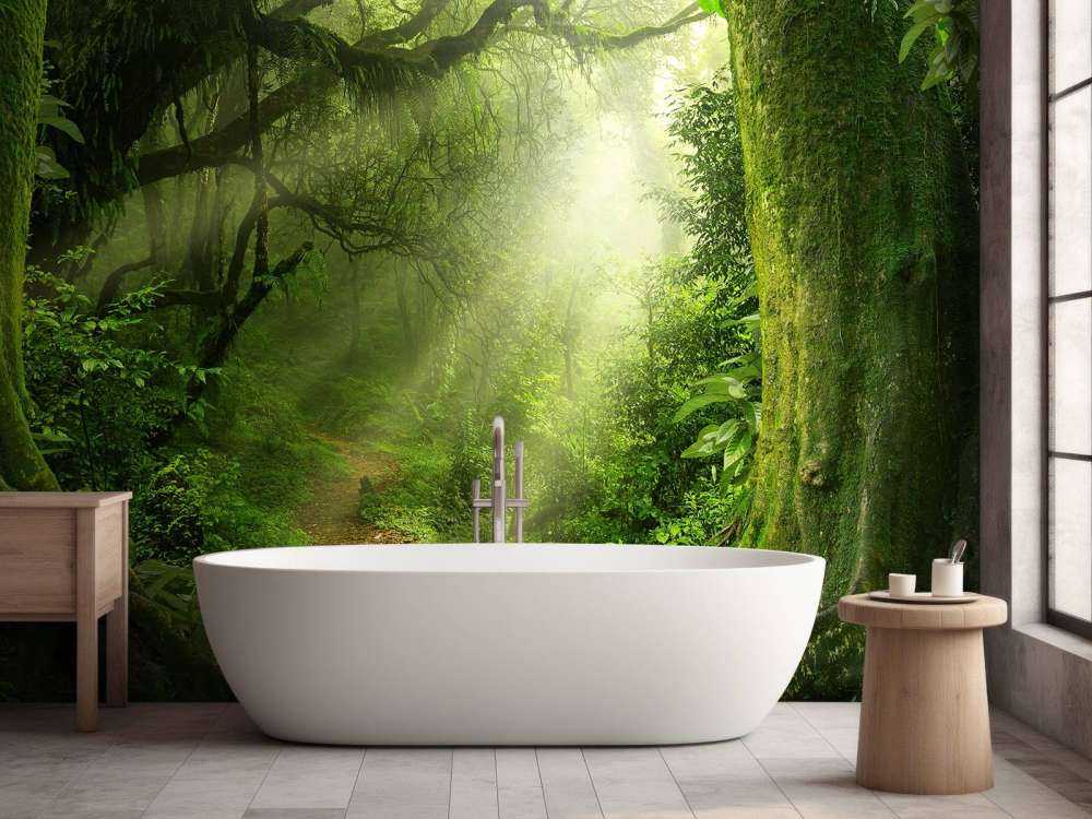 Dżungla z promieniami słońca