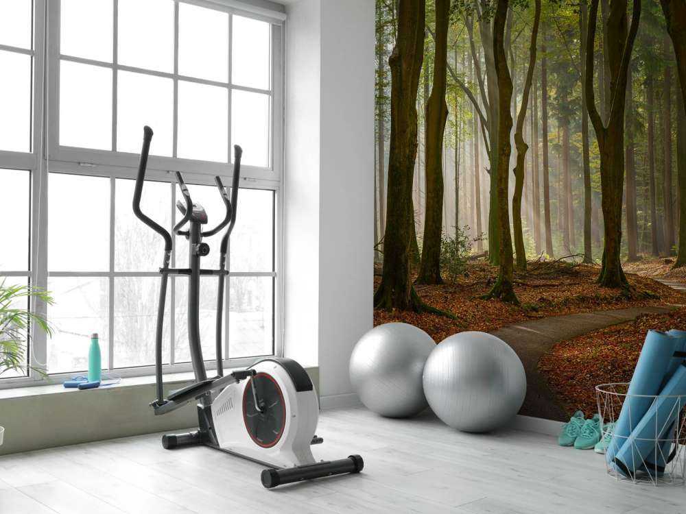 Promienie słońca na ścieżce przez las