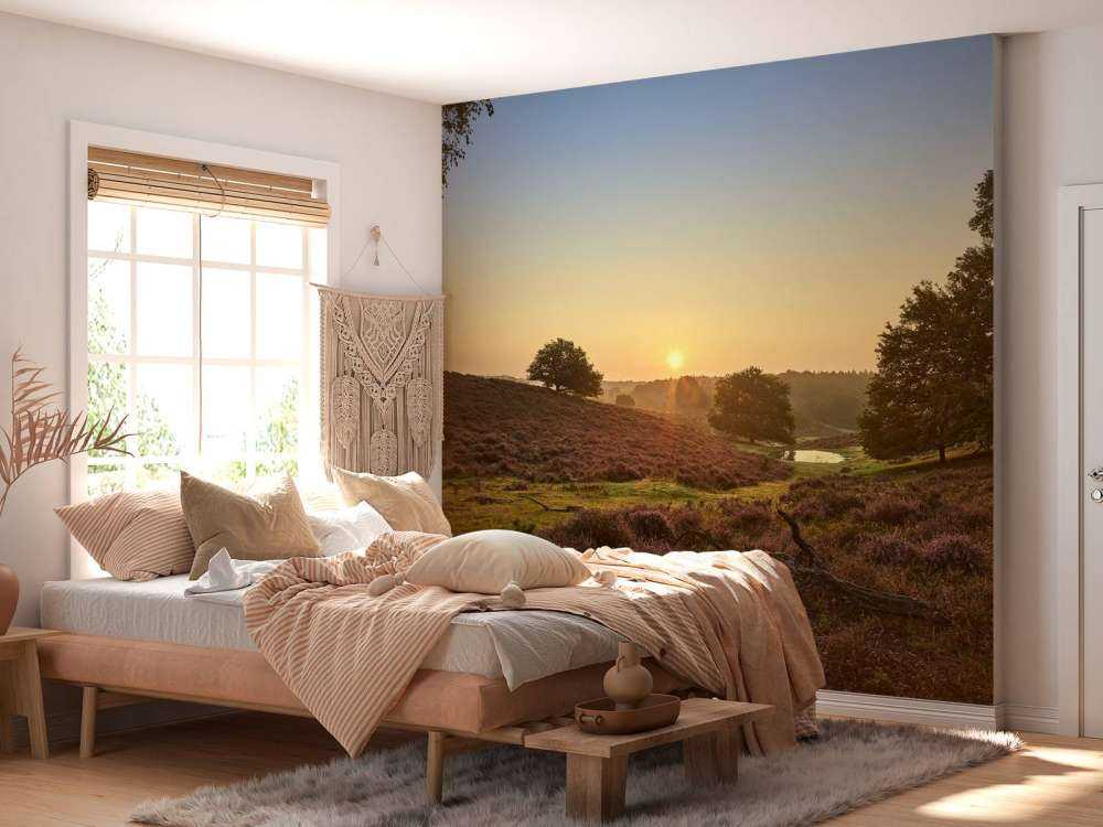 Kałuża na wrzosowisku