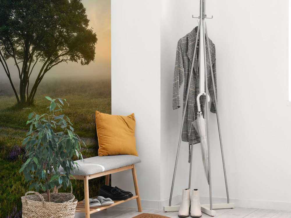 Wschód słońca na wrzosowisku