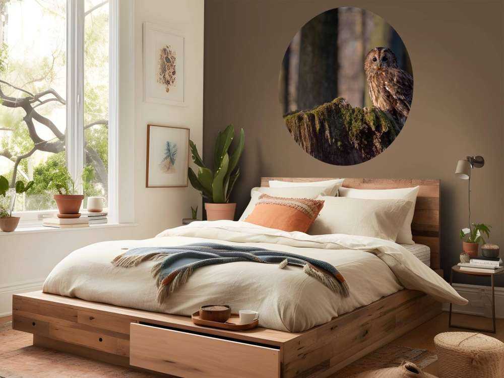 Mała sowa na złamanym drzewie