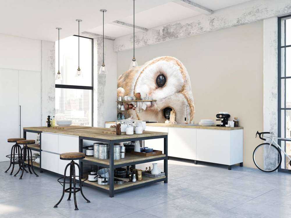 Sowa z przechyloną głową