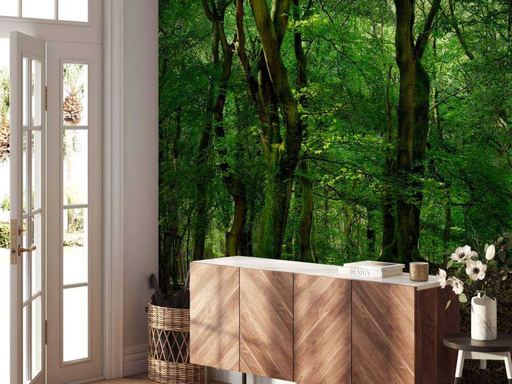 Drzewa z zielonymi liśćmi 