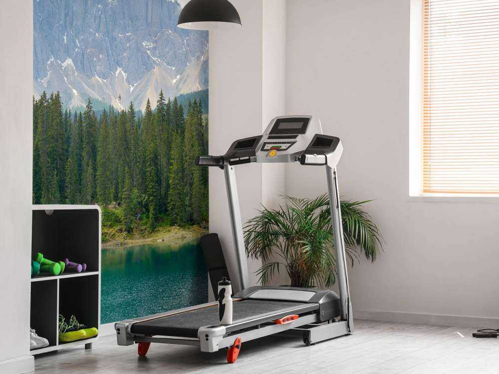 Rząd drzew w pobliżu górskiego jeziora